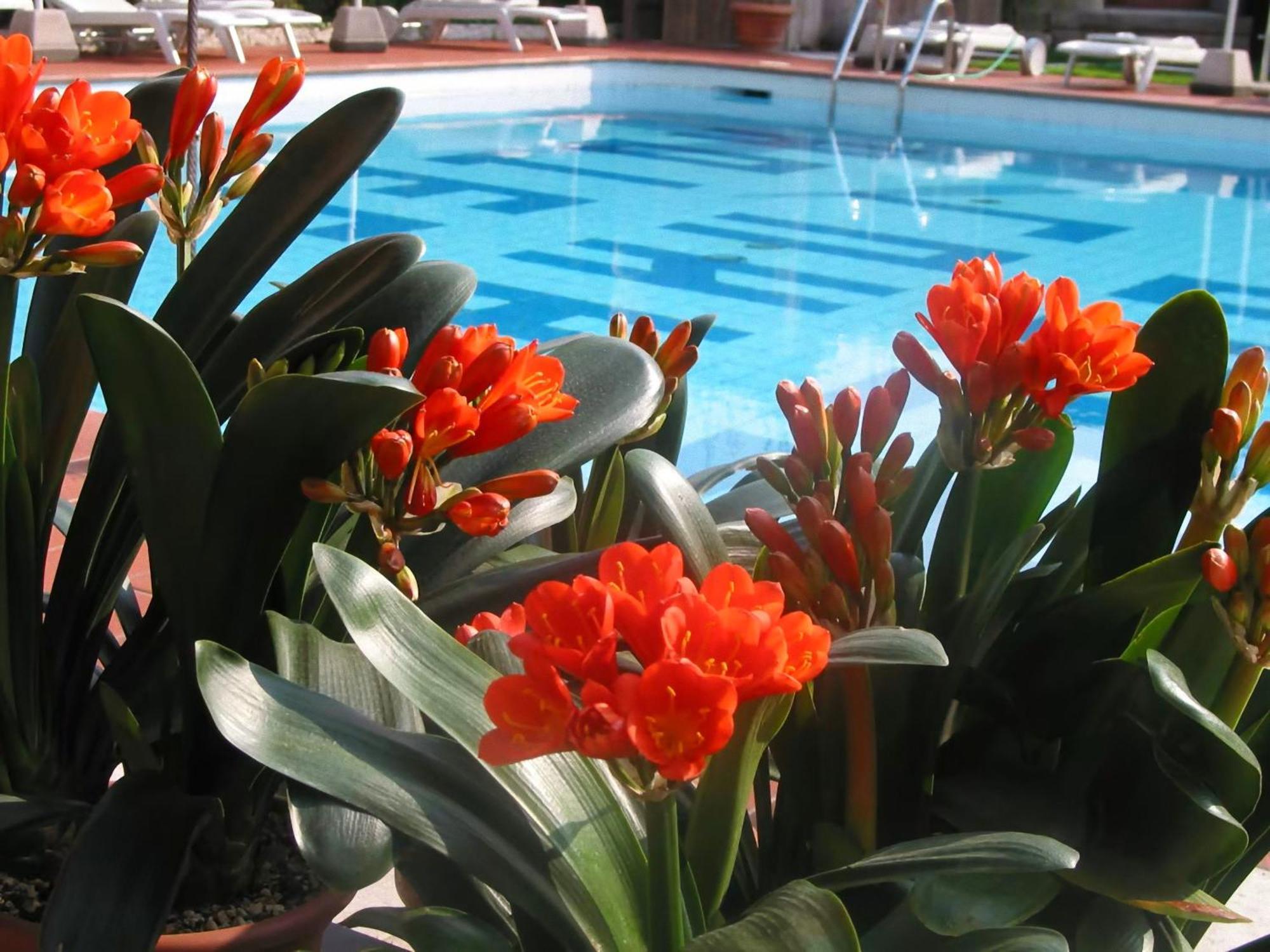 Hotel Luna Rossa (adults Only)