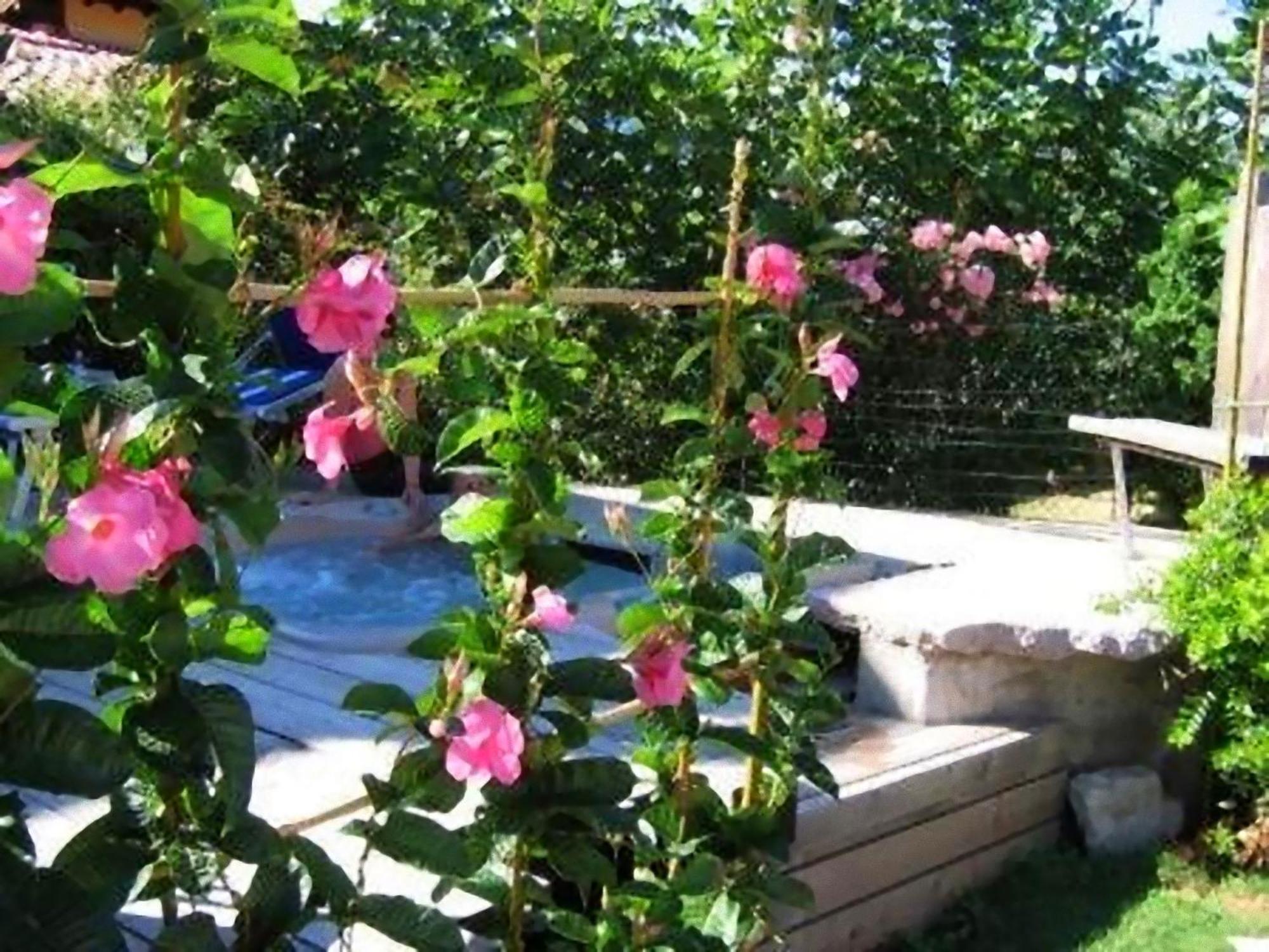 Hotel Luna Rossa (adults Only)